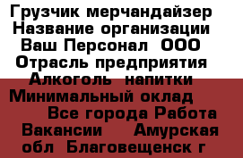 Грузчик-мерчандайзер › Название организации ­ Ваш Персонал, ООО › Отрасль предприятия ­ Алкоголь, напитки › Минимальный оклад ­ 17 000 - Все города Работа » Вакансии   . Амурская обл.,Благовещенск г.